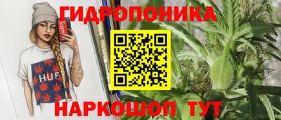 дживик Тара