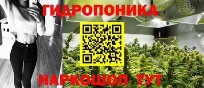 дживик Тара