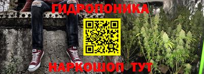 дживик Тара