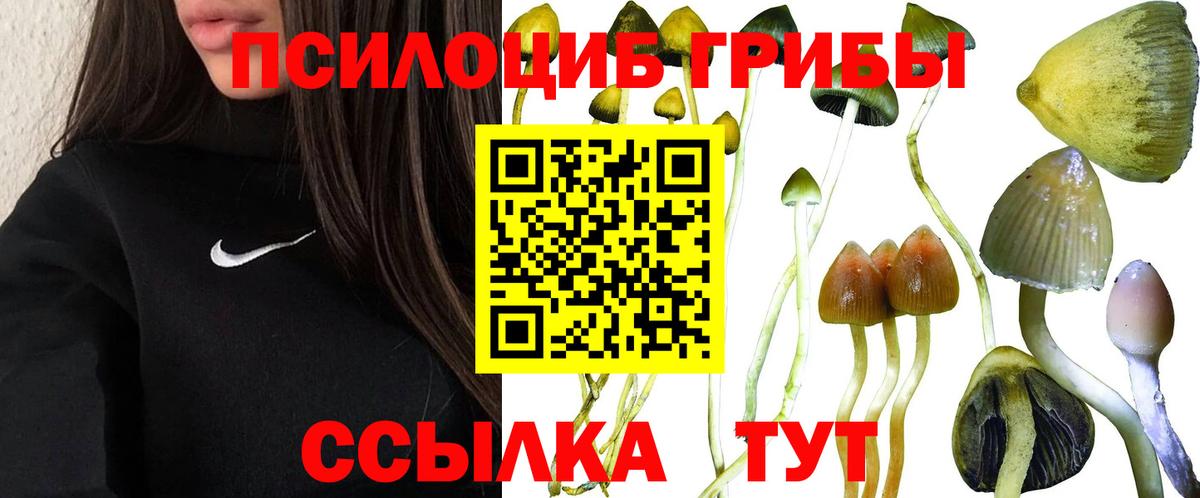 Отрадный  Галлюциногенные грибы мицелий  Вход с VPN 